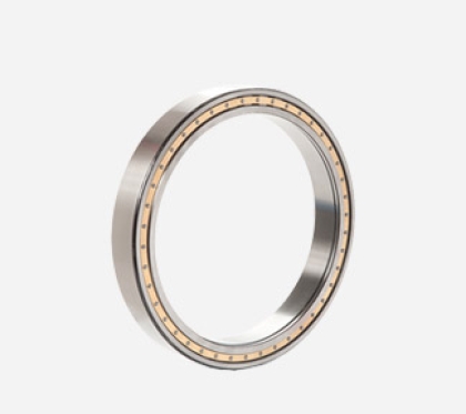 Lorem ipsum dolor sit amet consectetur adipiscing